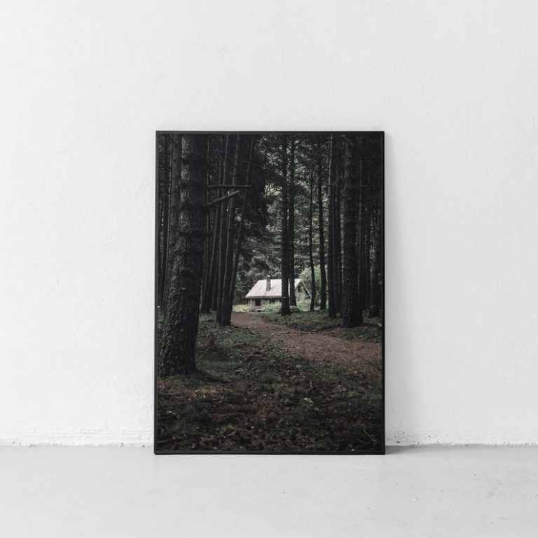 Woodland Wall Art Prints